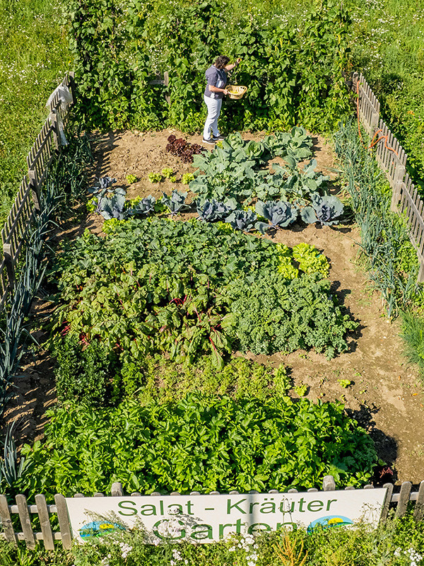 das_kleine_berghotel_gemuese_aus_dem_eigenen_garten_600x800px das_kleine_berghotel_gemuese_aus_dem_eigenen_garten_600x800px