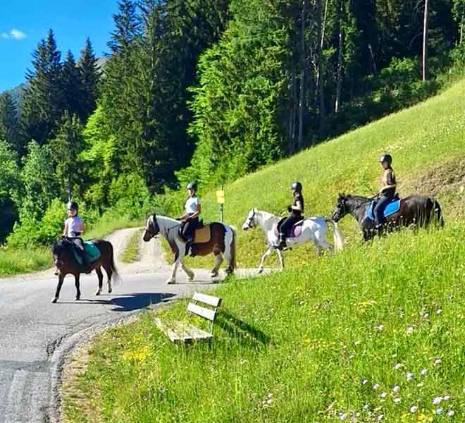 das_kleine_berghotel_lesachtal_reiten_bei_babsi_660x600px das_kleine_berghotel_lesachtal_reiten_bei_babsi_660x600px